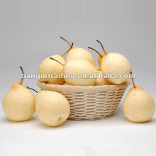 pear fresh